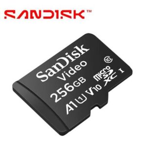 SanDisk - Flash memory card - SC QD131 UHS 256GB MicroSD 160