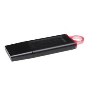 Kingston DataTraveler Exodia - Unidad flash USB - 256 GB - USB 3.2 Gen 1 - negro/rosa