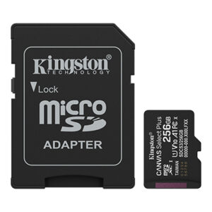 Kingston - Flash memory card - microSDHC