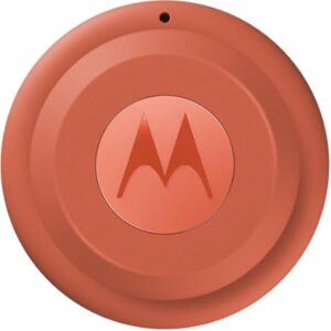 Motorola - Tag - Arabesque and Laurel Oak