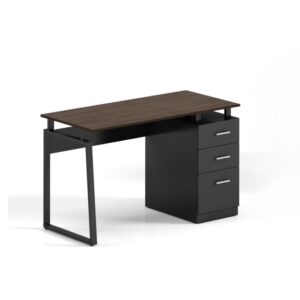 ESCRITORIO EINTEIN-B1 M8061 OAK/BLAC 1.20 x 0.60 x 0.75 OZ-3818